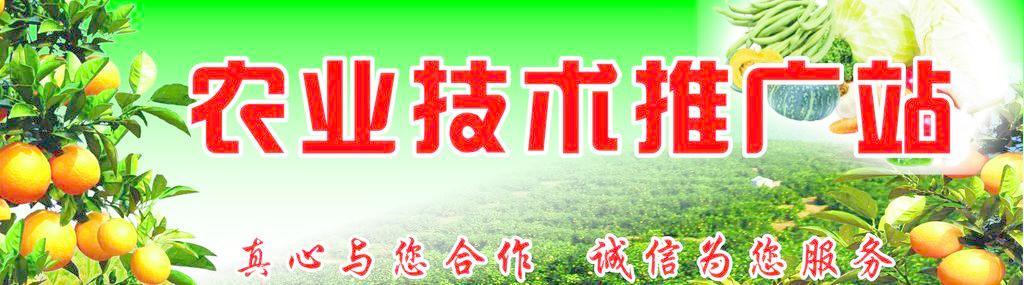 農(nóng)業(yè)技術(shù)推廣 農(nóng)業(yè)技術(shù)推廣